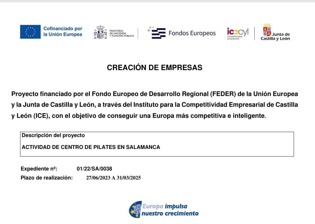 Cartel oficial de subvención cofinanciada por ICE Castilla y León y Fondo Europeo de Desarrollo Regional